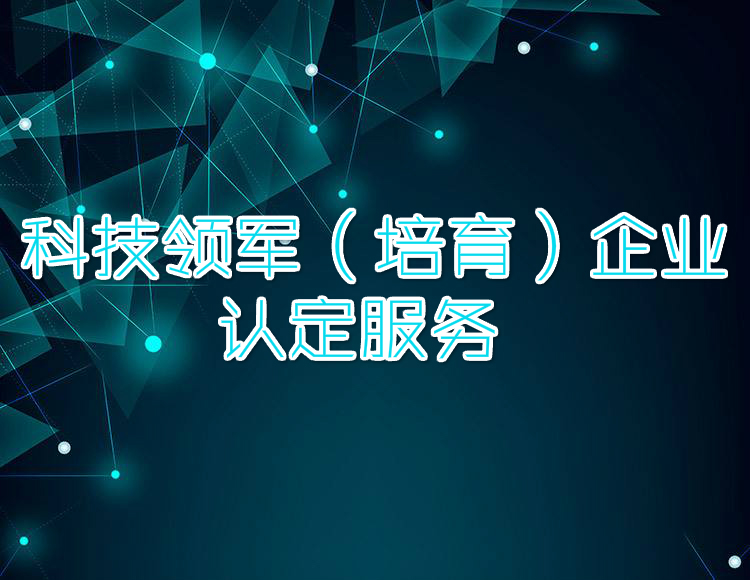 科技领军（培育）企业认定【国企背景、品质服务】(咨询服务)